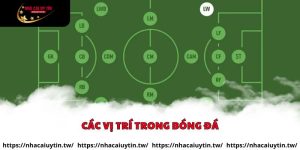 Các vị trí trong bóng đá tại Nhà cái uy tín
